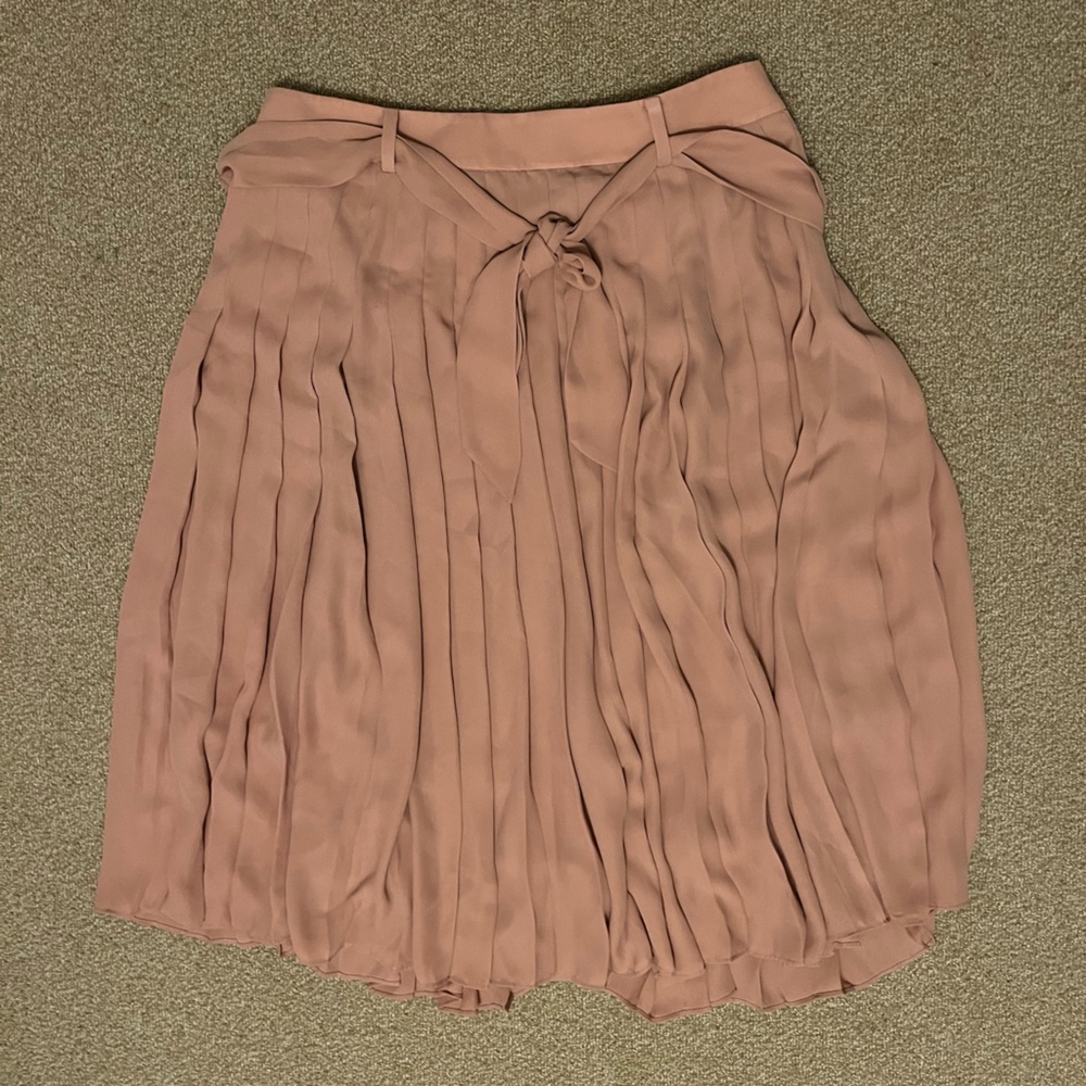 Ann Taylor Women’s Skirt size 6